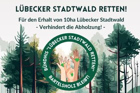 Bild der Petition: 10 Hektar Lübecker Stadtwald retten – verhindert die Rodung für die Tennet-Trasse!