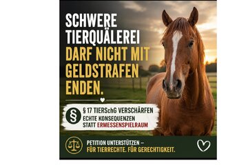 Bild der Petition § 17 TierSchG – Ausschluss von Geldstrafen bei schweren Fällen der Tierquälerei