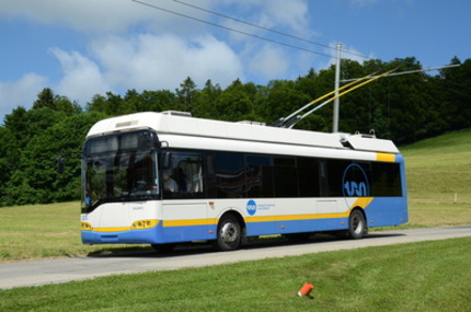 Petīcijas attēls:35 Busfahrer vor Arbeitslosigkeit im Dezember 2013 bewahren!