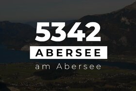Малюнок петиції:5342 Abersee darf nicht 5350 Strobl werden