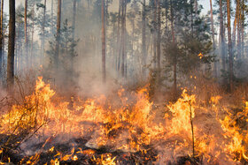 Image of the petition: 56 milliardaires = 56 canadairs !