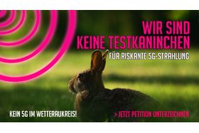 Bild på petitionen:5G in der Wetterau verhindern