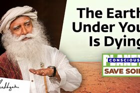 Image of the petition: Safe Soil - The Worlds Soil is dies - LET US MAKE IT HAPPEN!