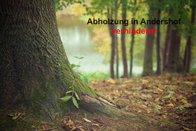 Billede af andragendet:Abholzung von Wald in Andershof verhindern