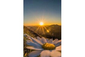 Image of the petition: Abolizione dell'ora legale