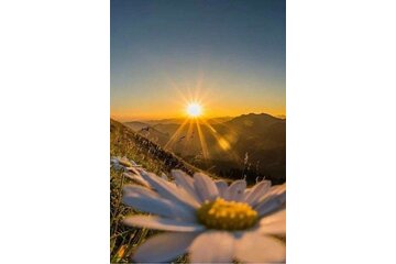 Vetoomuksen kuva Abolizione dell'ora legale