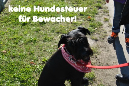 Bild der Petition: Abschaffung der Hundesteuer im osteuropäischen Grenzgebiet