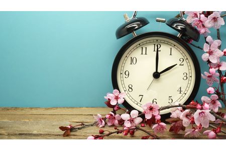 Bild der Petition: Abschaffung der Sommerzeit - folge deiner inneren Uhr!