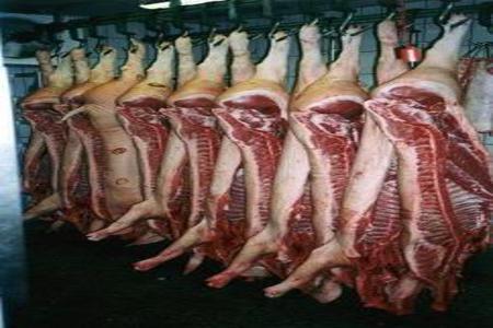 Bild der Petition: Abschaffung des Schlachthofpraktikums als Pflichtpraktikum für Veterinärmediziner