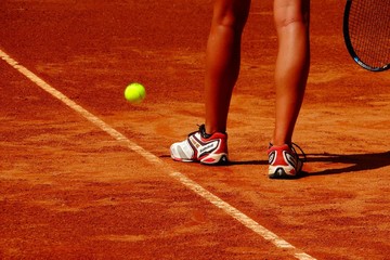 Image of the petition Abschaffung des Tennisballs "Dunlop BTV 1.0"