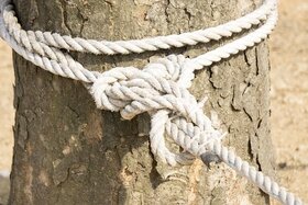 Bild der Petition: Abschiebung Ramzi Awat Nabis rückgängig machen!n!