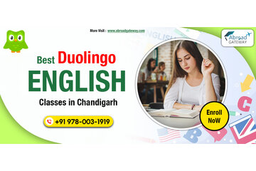 Imagen de la petición Achieve Your Language Goals with Duolingo Coaching in Chandigarh