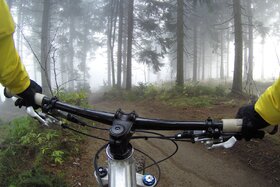 Obrázek petice: Änderung der 2-Meter-Regel