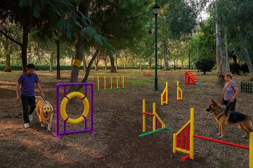 Bild der Petition Agility Πάρκο για Σκύλους – Νέος πυλώνας εξωστρέφειας για το Παλαιό Φάληρο