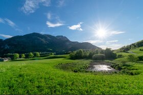A petíció képe: Alle Infos für alle Ischler zum geplanten Heizwerk im Naherholungsgebiet