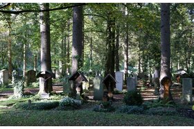 Bild der Petition: Alten Baumbestand im Sollner Waldfriedhof erhalten