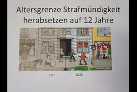 Pilt petitsioonist:Altersgrenze für die Strafmündigkeit auf 12 Jahre
