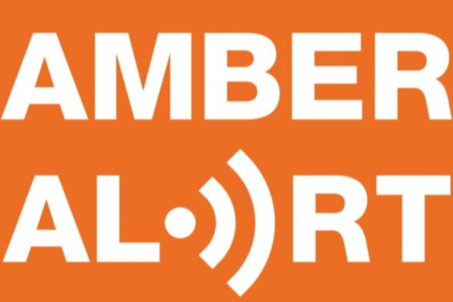 Billede af andragendet Amber Alert bevezetése Magyarországon 2.0