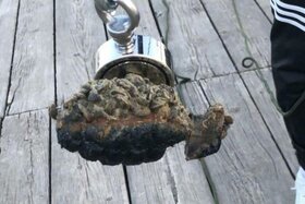 Bild der Petition: Anerkennung statt Strafe