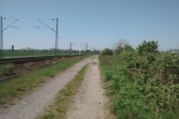 Imagen de la petición Petition zur Löschung dieser Petition
