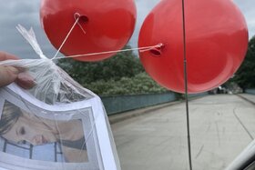 Bild der Petition: Ratio: Die Natur ist die göttliche Macht im Universum und niemals personifizierbar.