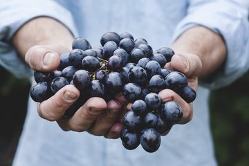 Bild der Petition Appell: Tafeln, Arche und deren Nutzer unterstützen