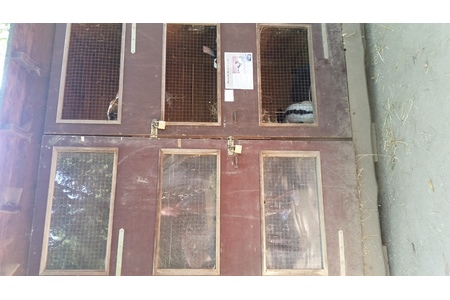 Bild der Petition: Artgerechte Haltung für Kaninchen im Tierpark Cottbus