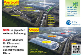 Bild der Petition: Artenvielfalt und Klimafläche in Regensburg bedroht - Bebauungsplan stoppen!