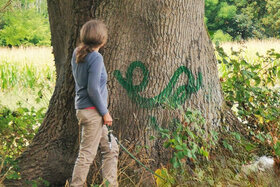 請願書の画像: Artenvielfalt und Klimaschutz in Münster bedroht! Nein zum Bebauungsplan St Mauritz-Maikottenweg!