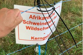 Bild der Petition: ASP Ausbruch Deutschland - Pflichtverletzungen ahnden - Schadensersatzansprüche begleichen