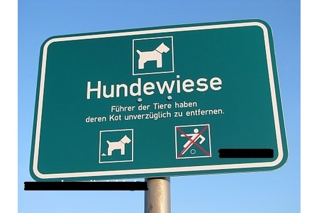 Φωτογραφία της αναφοράς:Auch Hunde brauchen Platz zum Spielen!