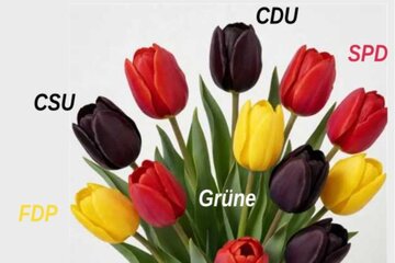Bild der Petition Aufforderung zur Zusammenarbeit an die Parteien der Mitte