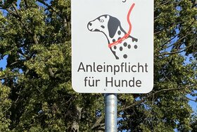 Bild der Petition: Aufhebung Des Beschlusses Für Den Generellen Leinenzwang Von Hunden In Der Gemeinde Mainhausen