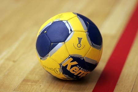 Bild der Petition: Handball in den Rundfunkstaatsvertrag! DHB-Nationalmannschaft im Free TV sehen