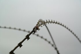 Image of the petition: Aufnahme weiterer osteuropäischen Staaten in EU und NATO sollte vertraglich ausgeschlossen werden