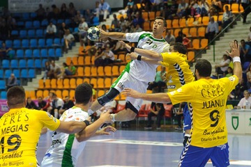 Bild der Petition Aufruf an ZDF alle Handballspiele von EM/WM zu übertragen