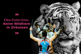 Imagen de la petición:Auftrittsverbot von Zirkussen mit Wildtieren im Elbe-Elster-Kreis