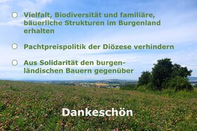 Bild der Petition: Aus Solidarität mit Burgenlands Bauern: Kirchenbeitrag auf 0 setzen