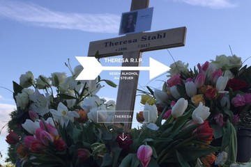 Bild der Petition RIP Theresa - Gegen Alkohol am Steuer, härtere Strafen!