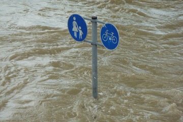 Bild der Petition Ausrufung Des Klimanotstands Für Die Stadt Mainz