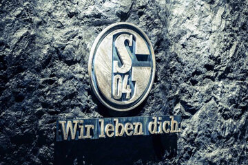Bild der Petition Außerordentliche Mitgliederversammlung - Neuwahl des Aufsichtsrates des FC Schalke 04