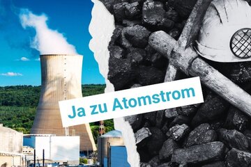 Bild der Petition Ausstieg vom Ausstieg – Atomenergie in Deutschland wieder aufbauen