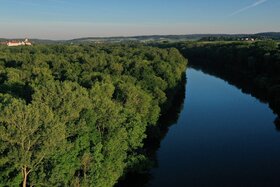 Obrázek petice:Auwald statt Asphalt! Schutz des Auwaldes vor dem geplanten Brückenbau-Großprojekt