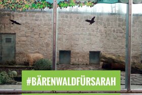 Kép a petícióról:#bärenwaldfürsarah - Ein Ende dem jahrelangen Tierleid