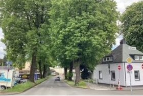 Bild der Petition: BÄUME ERHALTEN - LENNEP SCHÜTZEN! Für den Erhalt wertvoller Bäume im Umfeld des Outlets.