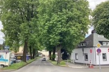 Bild der Petition BÄUME ERHALTEN - LENNEP SCHÜTZEN! Für den Erhalt wertvoller Bäume im Umfeld des Outlets.