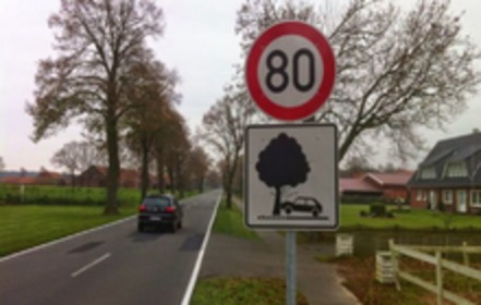 Bild der Petition: Bäume springen nicht zur Seite, aber auch nicht auf die Straße!