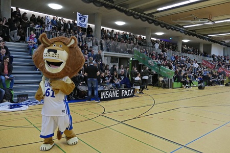 Foto della petizione:Ballsporthalle für Karlsruhe - jetzt!