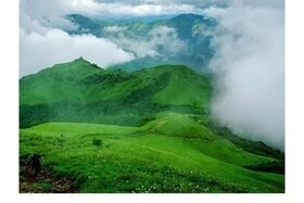 Image of the petition: Beyond Malma Betta - End the exploitation of Kodagu's Eco-Sensitive Hills