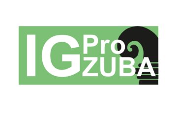 Afbeelding van de petitie Bau des Zubringers Bachgraben (Zuba) zügig vorantreiben!